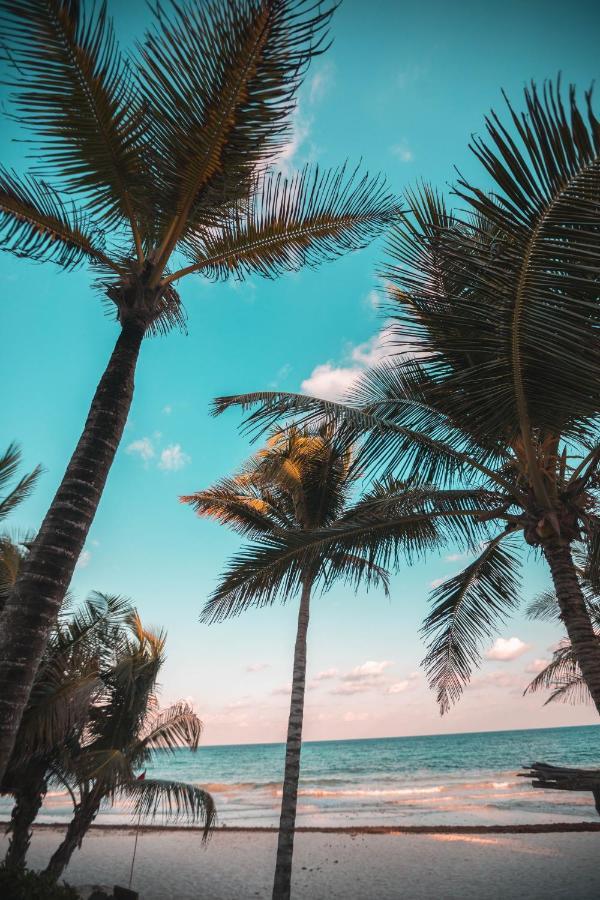 Breezy Beachfront Bali-Style Haven 180 Degree Oceanview Hau'ula 外观 照片