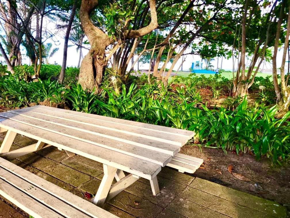 Breezy Beachfront Bali-Style Haven 180 Degree Oceanview Hau'ula 外观 照片